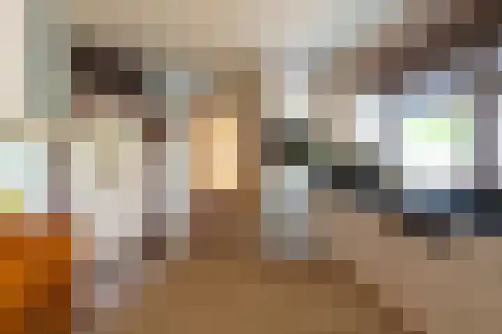 Loonsevaert 52 Kaatsheuvel thumbnail 13