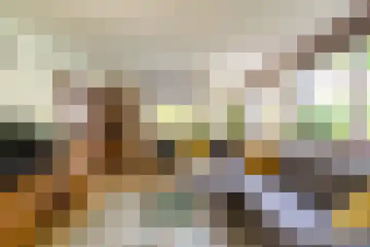 Loonsevaert 52 Kaatsheuvel thumbnail 17