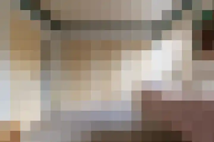 Loonsevaert 52 Kaatsheuvel thumbnail 23