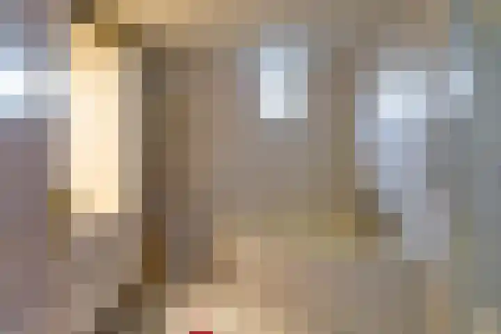 Loonsevaert 52 Kaatsheuvel thumbnail 24