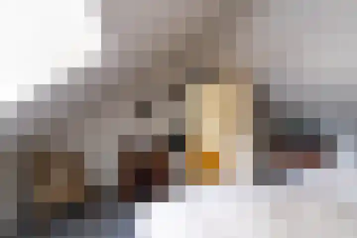 Loonsevaert 52 Kaatsheuvel thumbnail 31