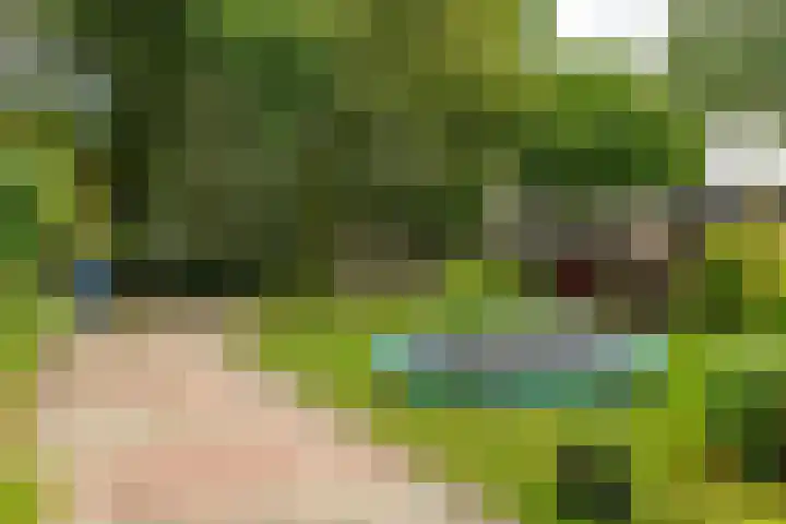 Loonsevaert 52 Kaatsheuvel thumbnail 5