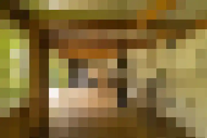 Loonsevaert 52 Kaatsheuvel thumbnail 7