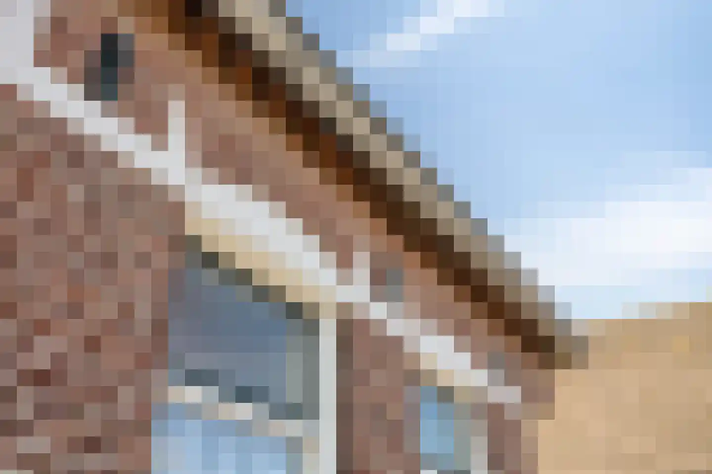 Loonseweg 17 Oploo thumbnail 10