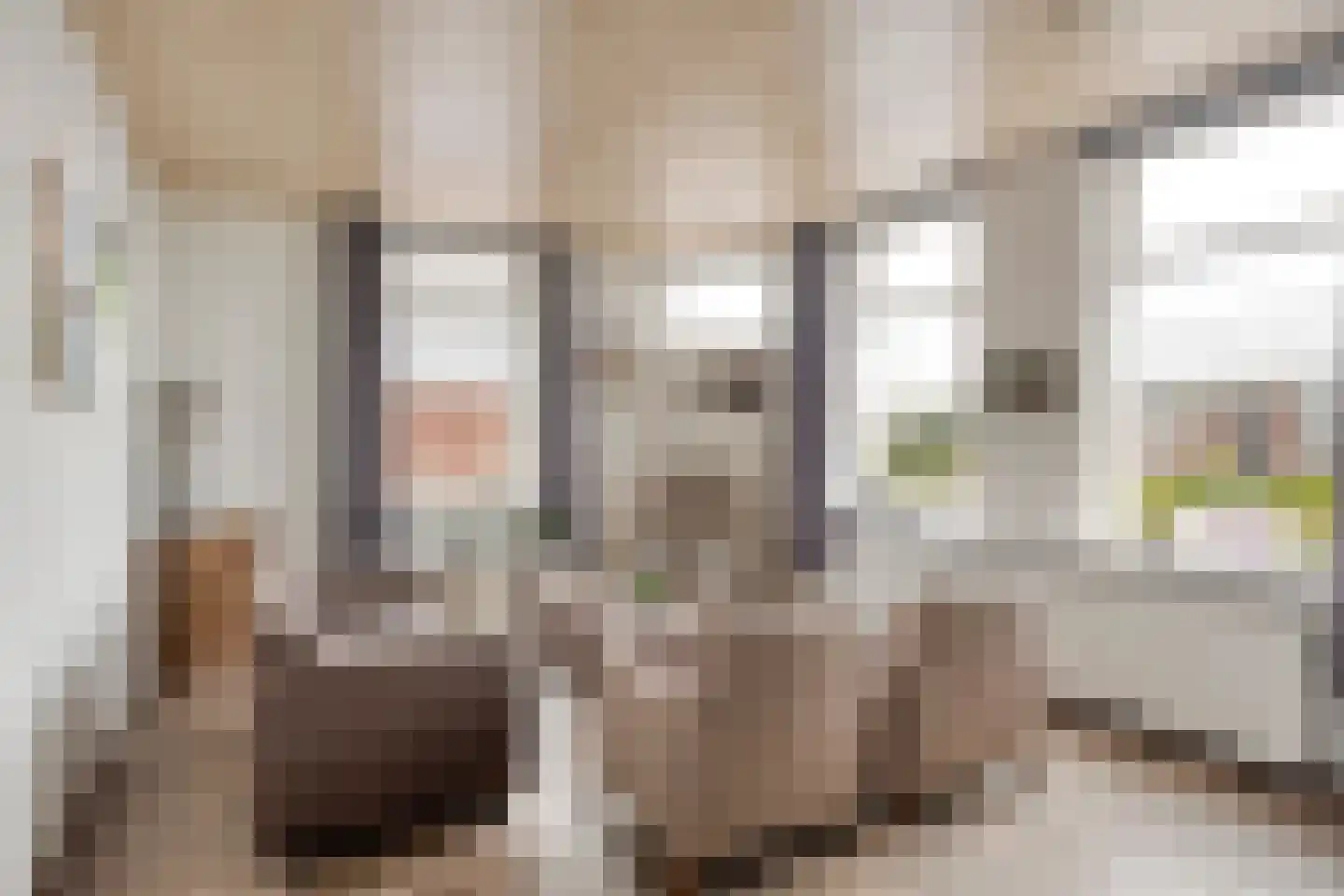 Loonseweg 17 Oploo thumbnail 12