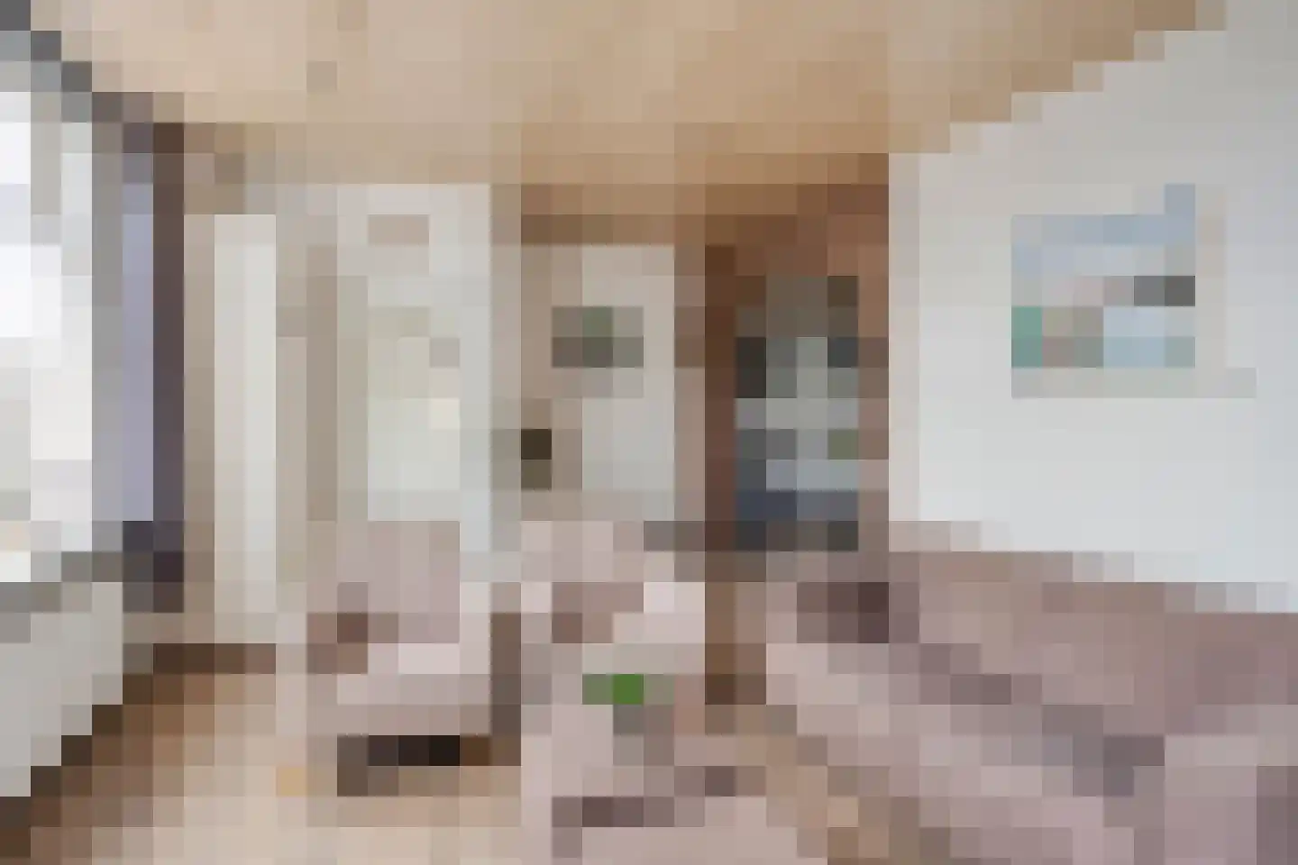 Loonseweg 17 Oploo thumbnail 14