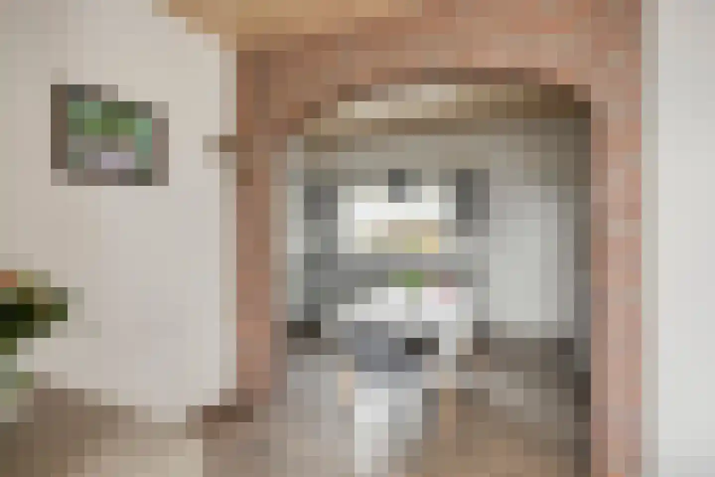 Loonseweg 17 Oploo thumbnail 15