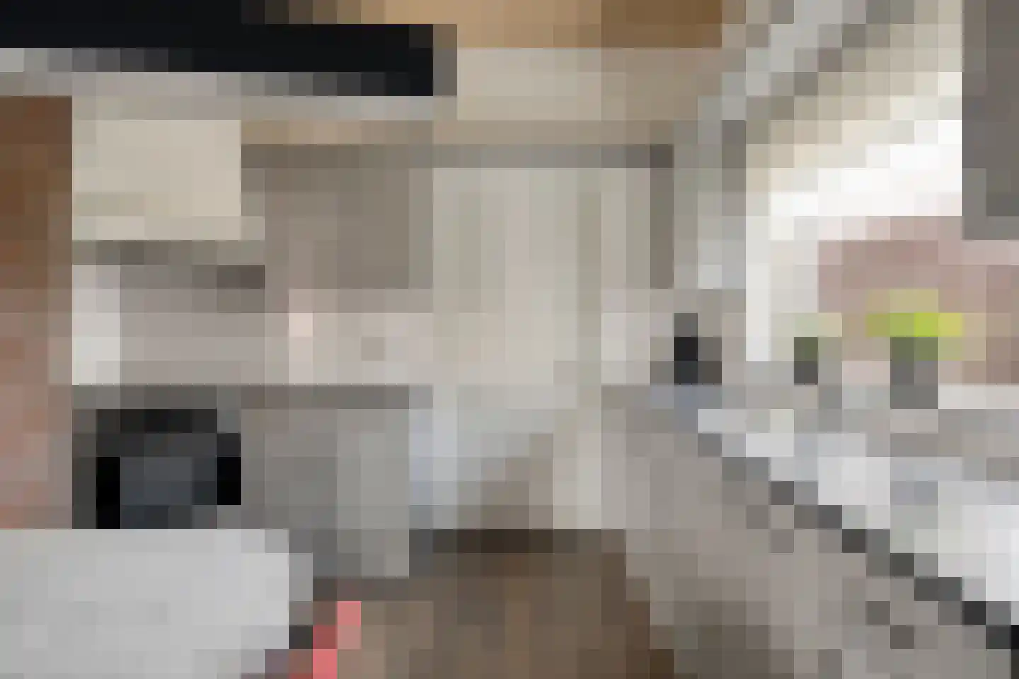 Loonseweg 17 Oploo thumbnail 17