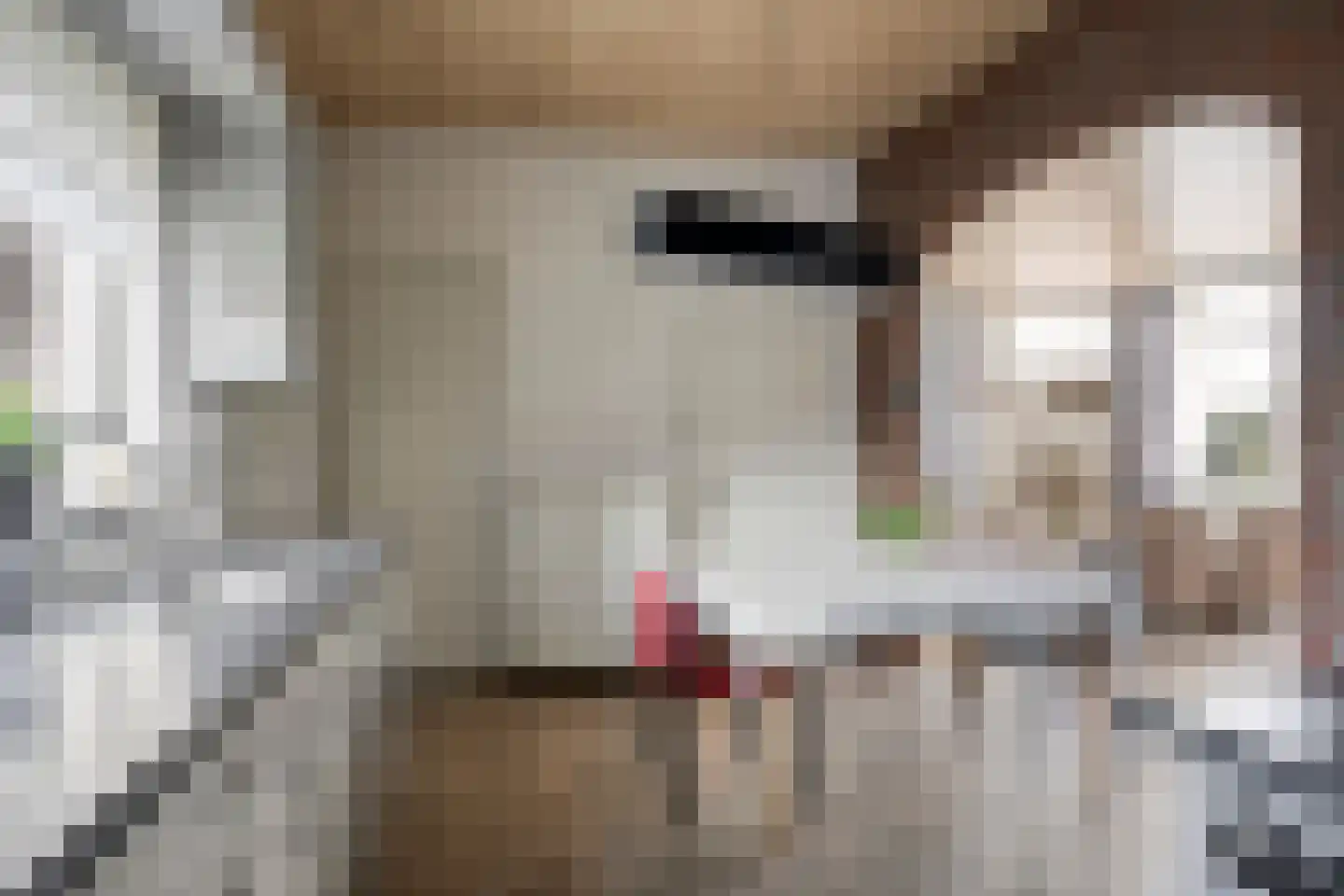 Loonseweg 17 Oploo thumbnail 19