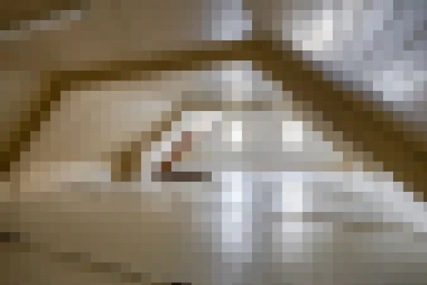 Loonseweg 17 Oploo thumbnail 29