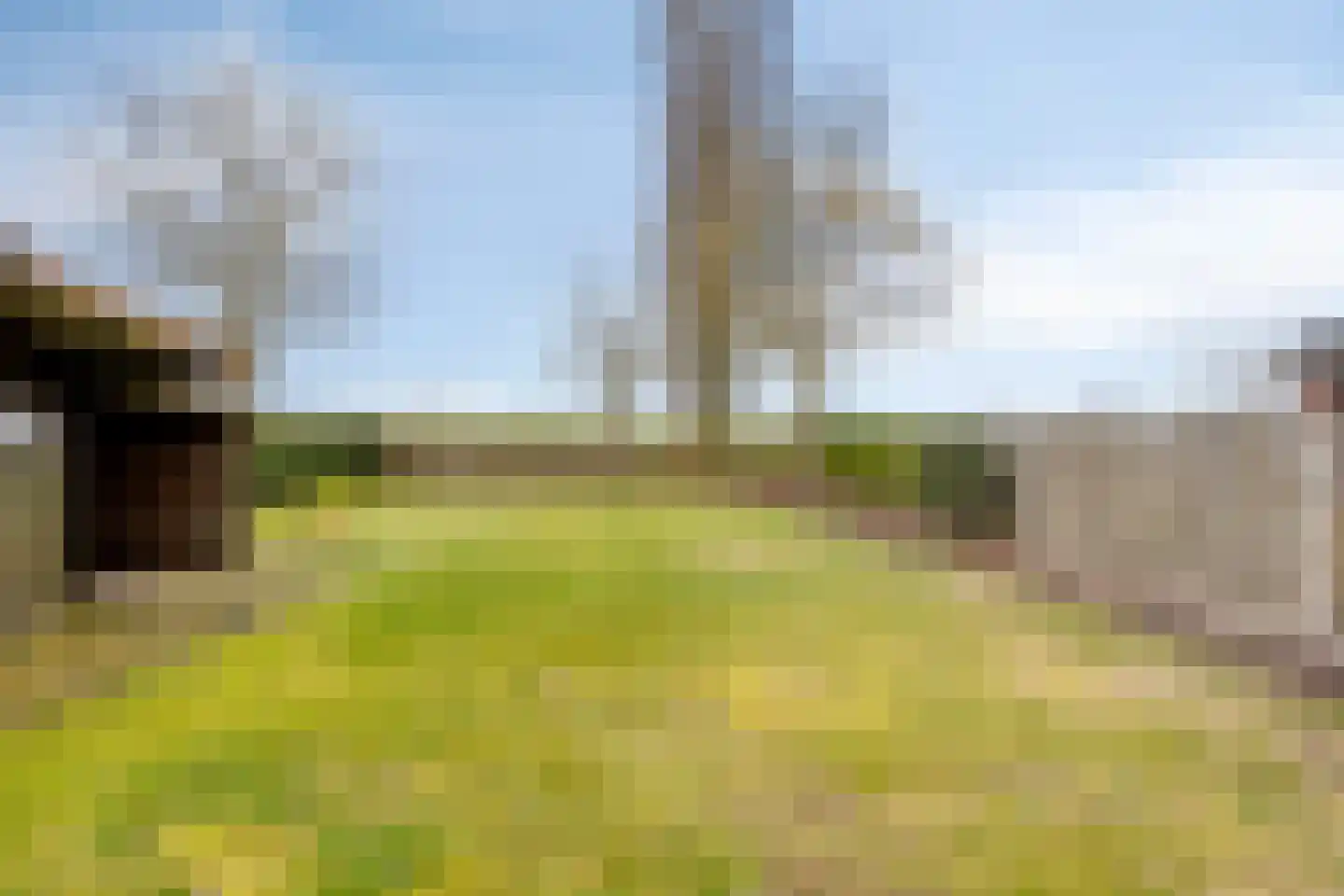 Loonseweg 17 Oploo thumbnail 39