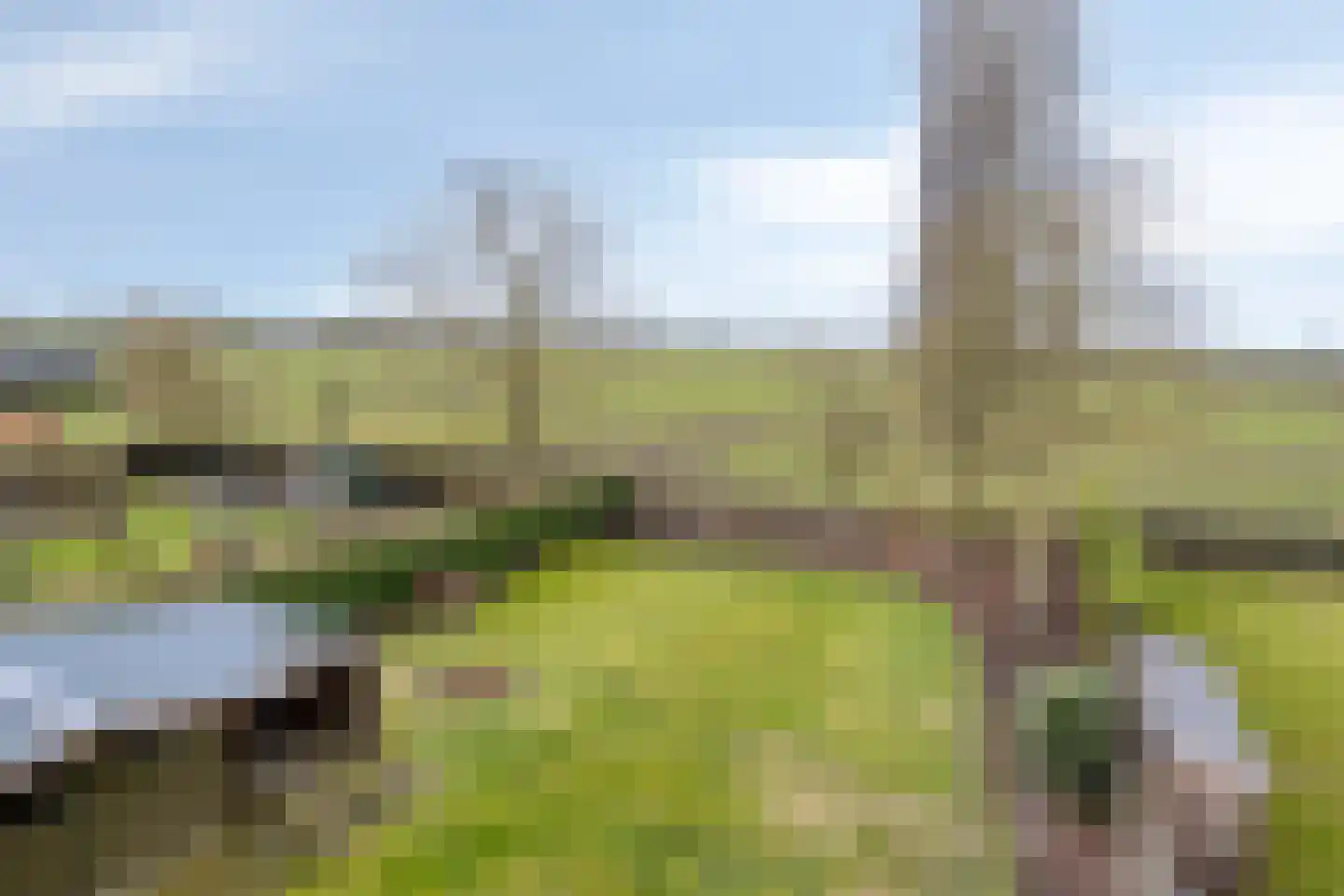 Loonseweg 17 Oploo thumbnail 42