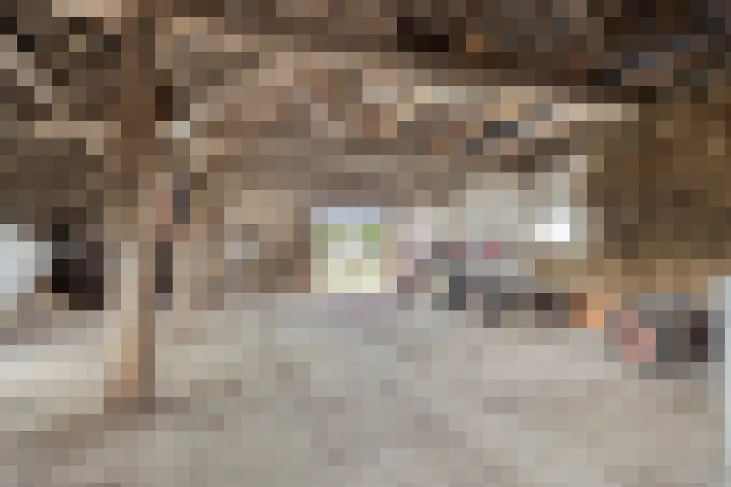 Loonseweg 26 Westerbeek thumbnail 41
