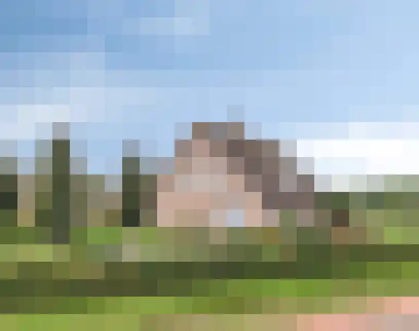 Loonseweg 26 Westerbeek thumbnail 47