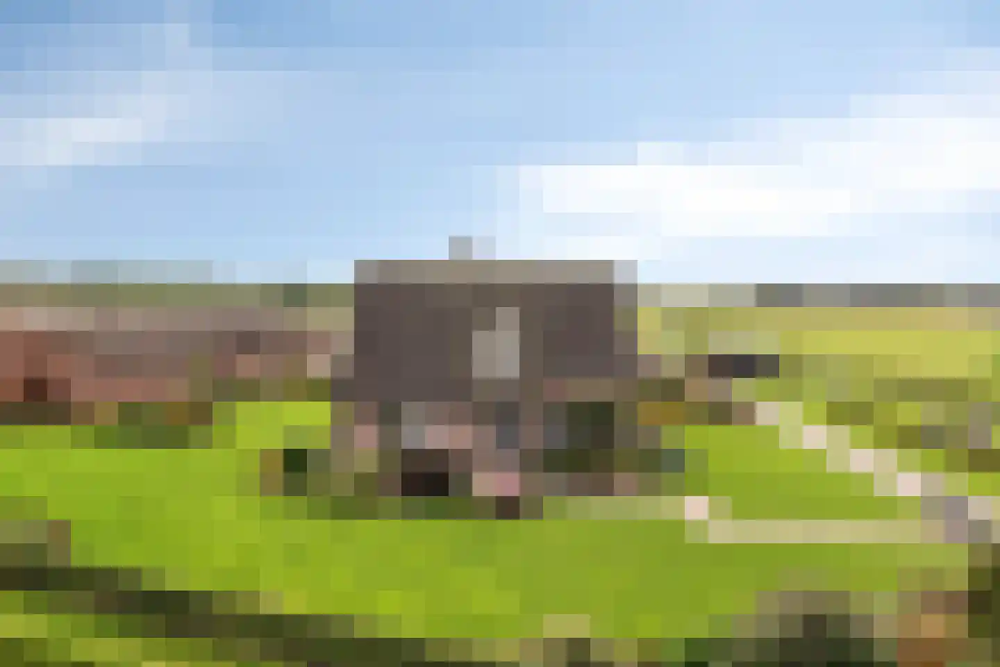 Loonseweg 26 Westerbeek thumbnail 50