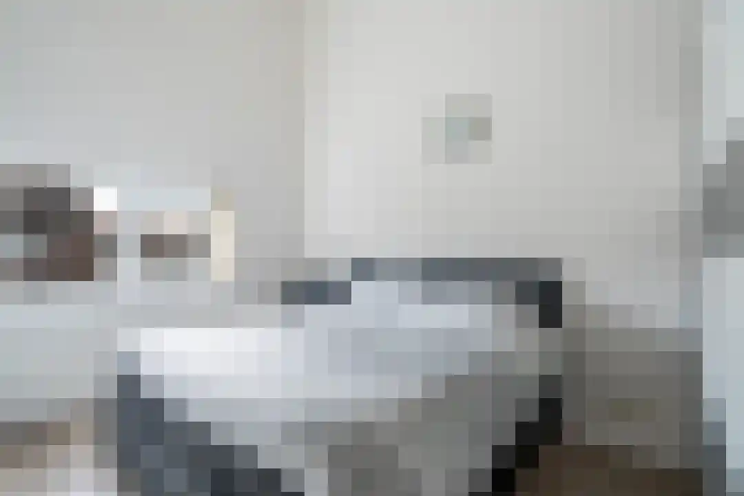 Loonstraat 7 Weert thumbnail 4