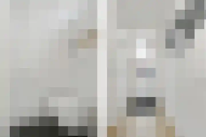 Loonstraat 8 Weert thumbnail 7