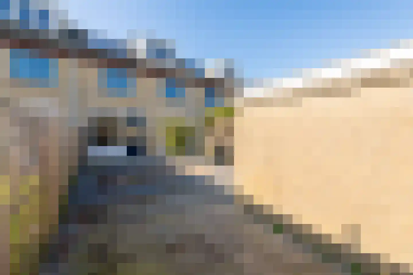 Loop 16 Bergen (NH) thumbnail 31