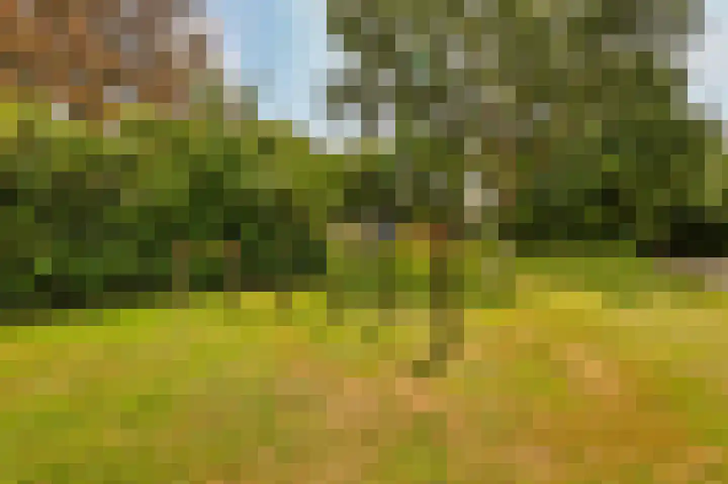 Loop 19 Bergen (NH) thumbnail 35