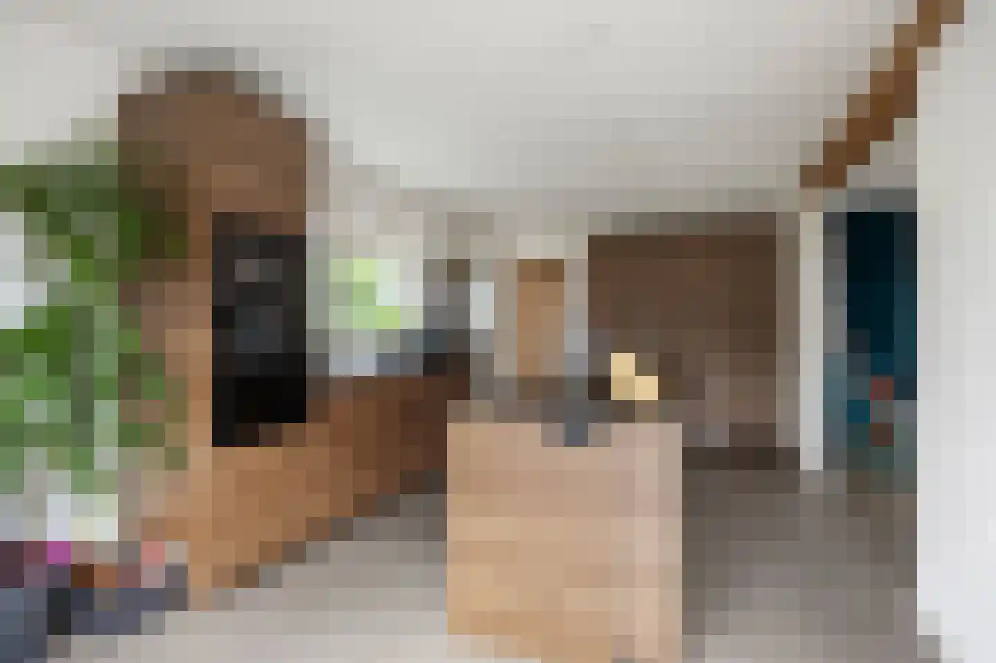 Loopbruglaan 5 A Heiligerlee thumbnail 11