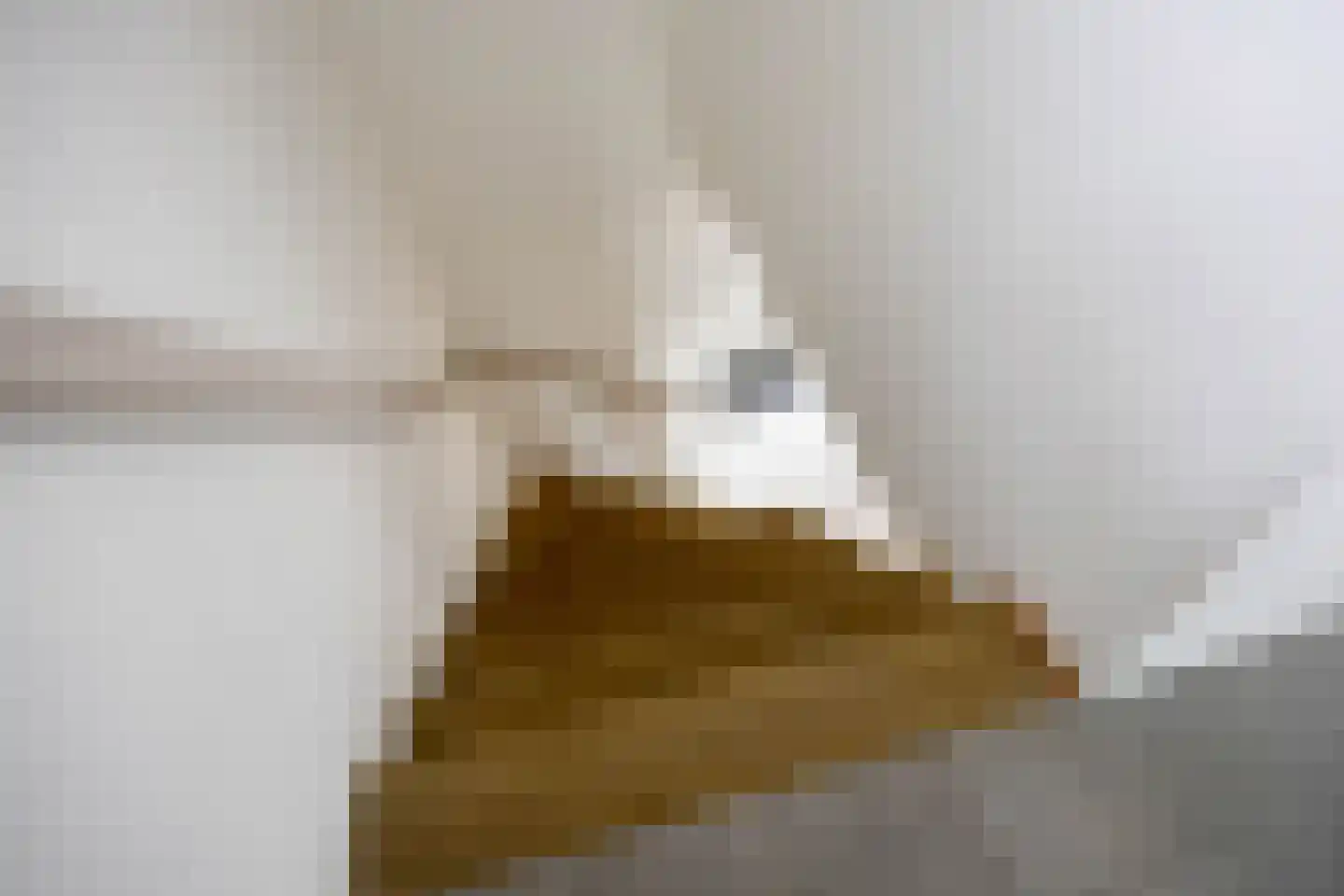Loopbruglaan 5 A Heiligerlee thumbnail 22