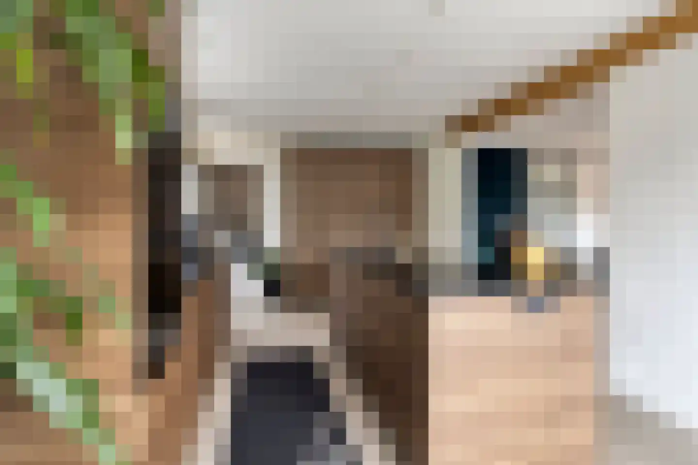 Loopbruglaan 5 A Heiligerlee thumbnail 25