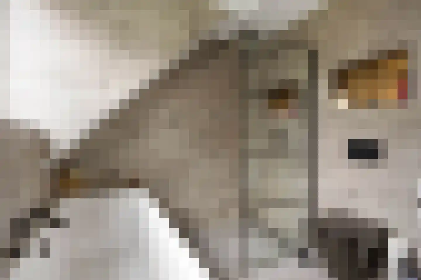 Loopbruglaan 5 A Heiligerlee thumbnail 25