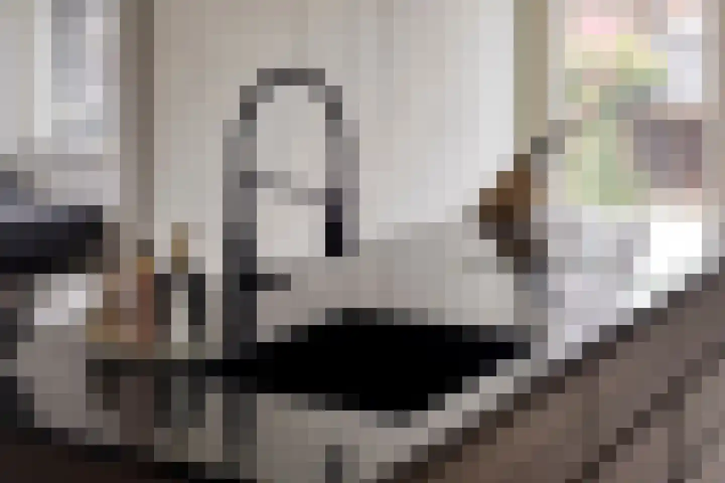 Loopbruglaan 5 A Heiligerlee thumbnail 29