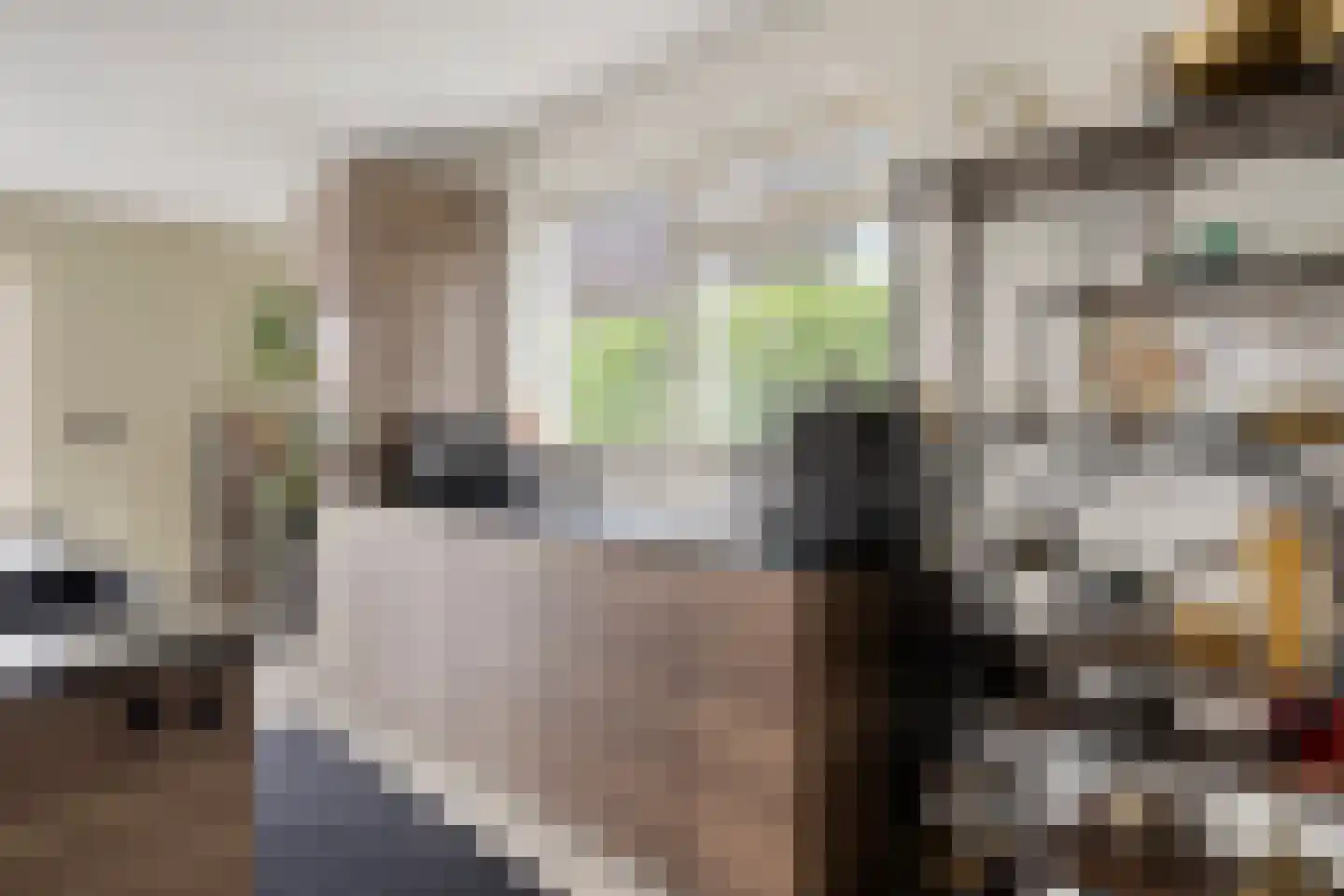 Loopbruglaan 5 A Heiligerlee thumbnail 32