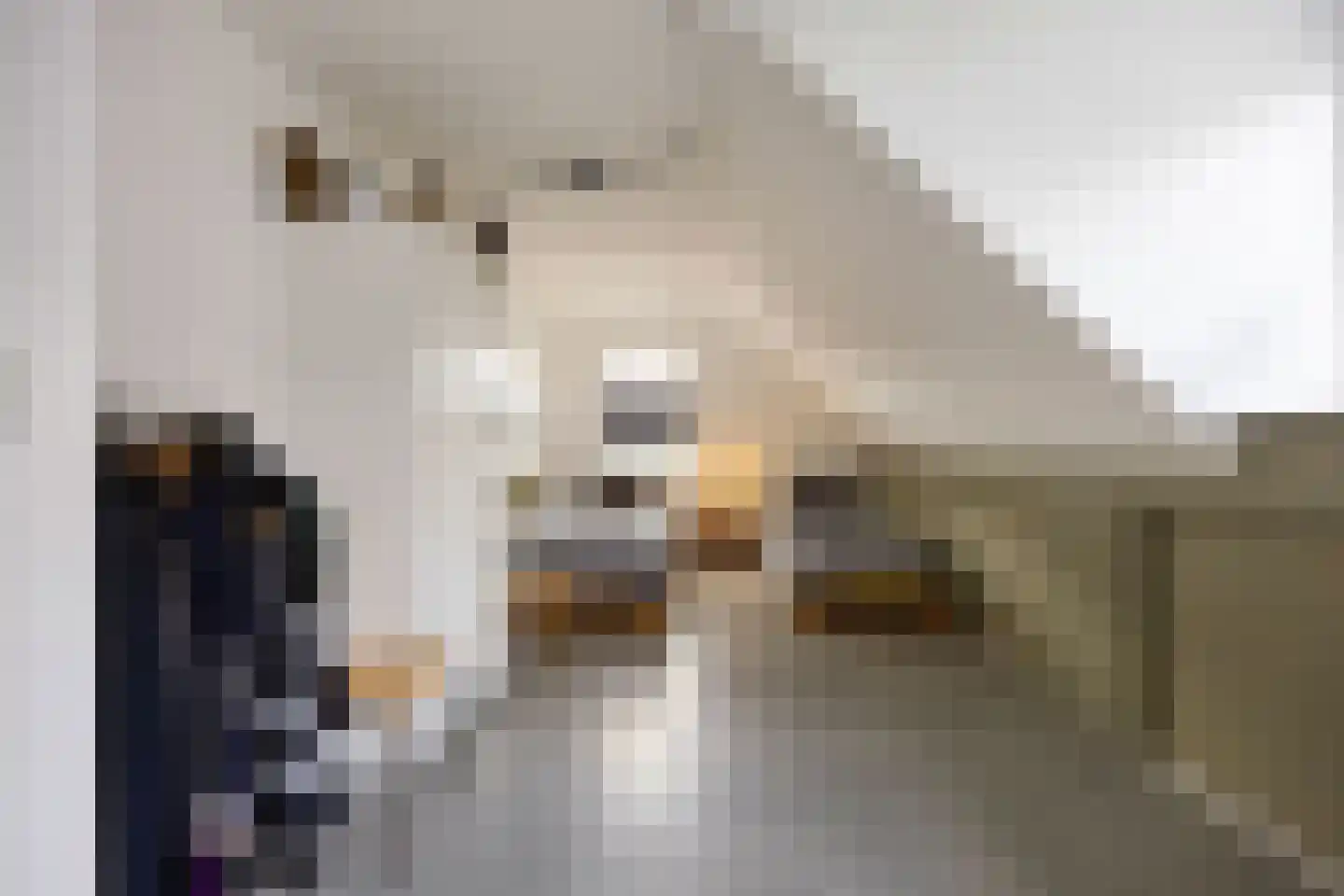 Loopbruglaan 5 A Heiligerlee thumbnail 33