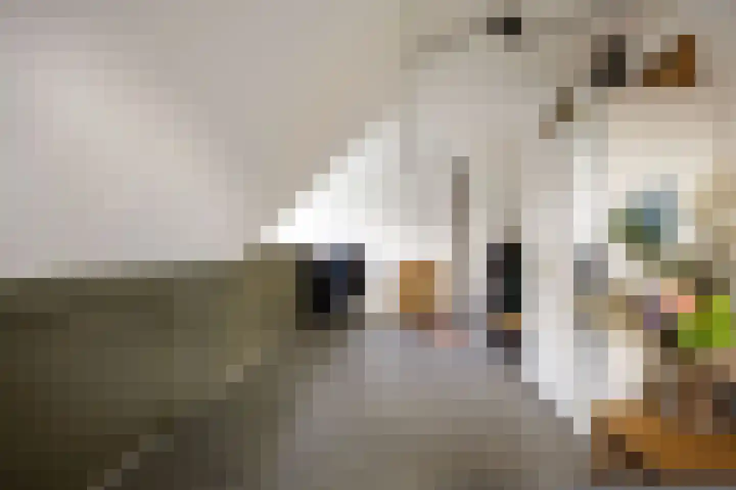 Loopbruglaan 5 A Heiligerlee thumbnail 34