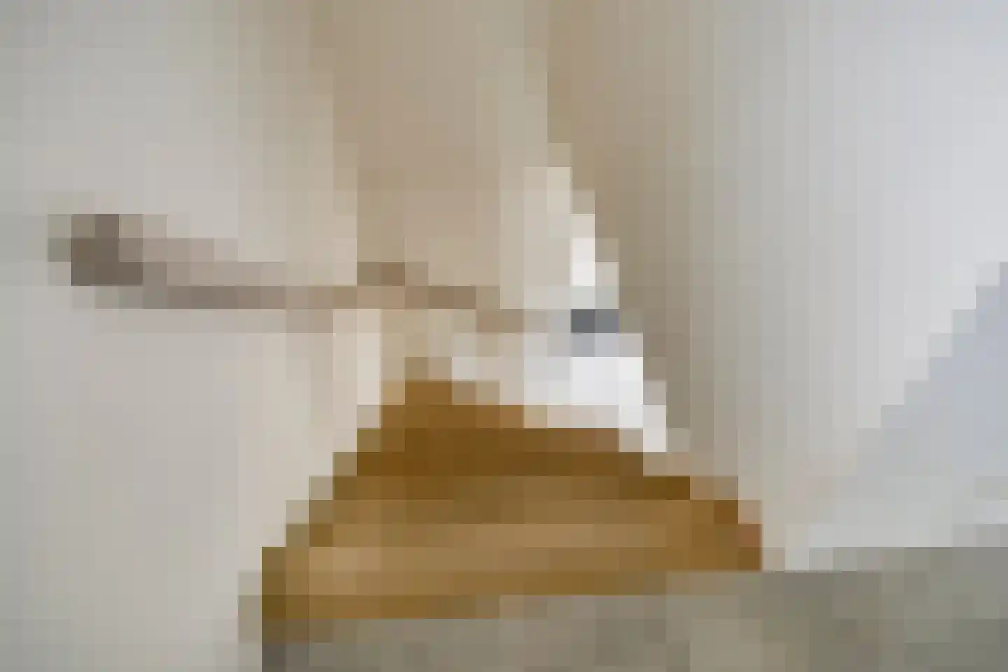 Loopbruglaan 5 A Heiligerlee thumbnail 36