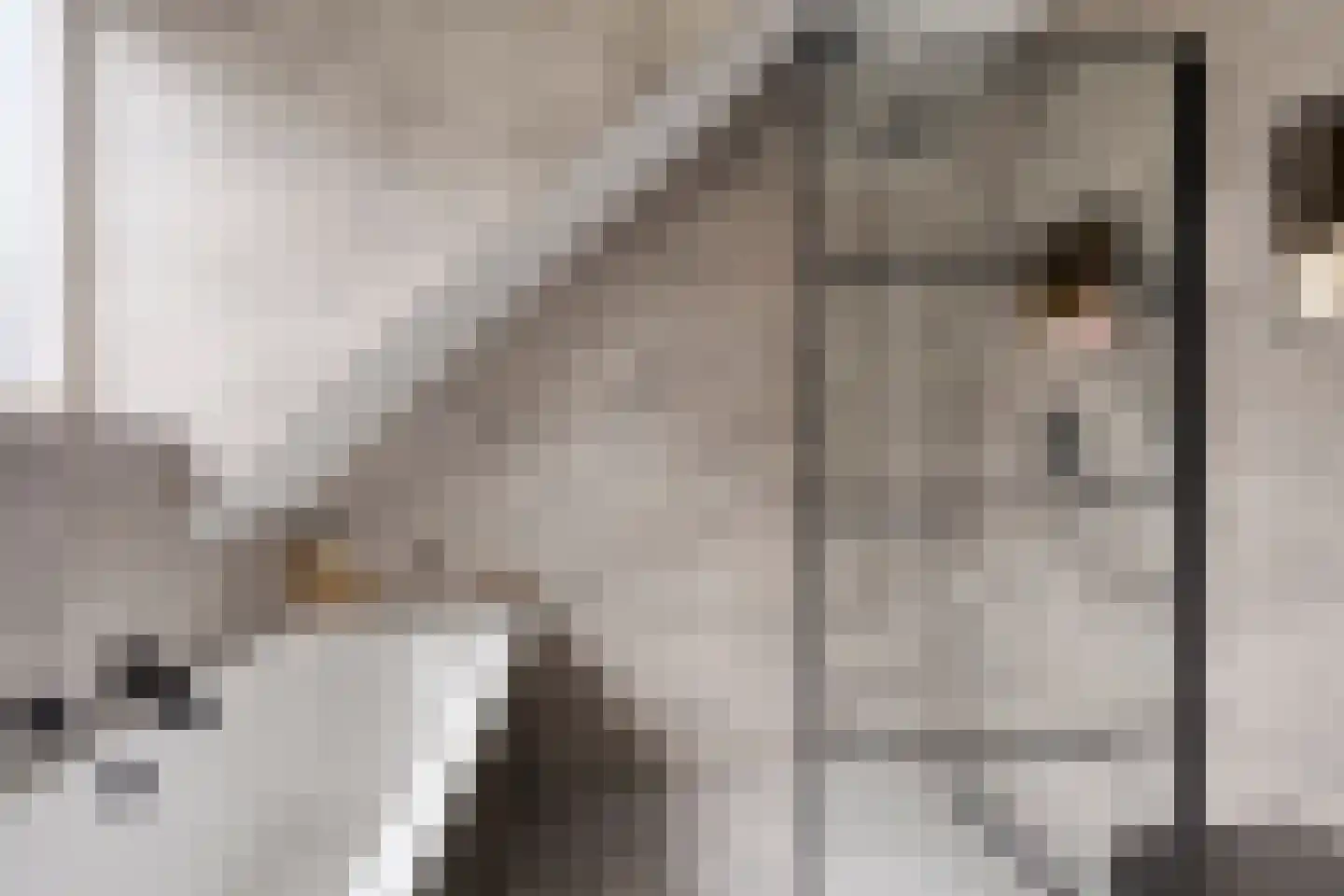 Loopbruglaan 5 A Heiligerlee thumbnail 42