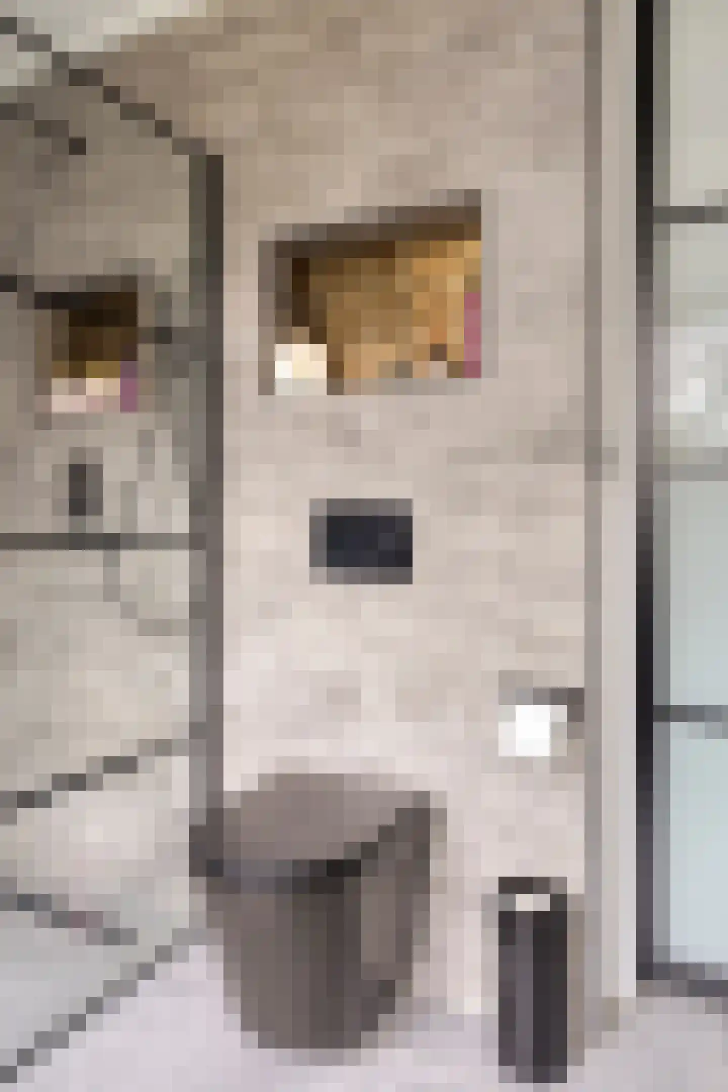 Loopbruglaan 5 A Heiligerlee thumbnail 43