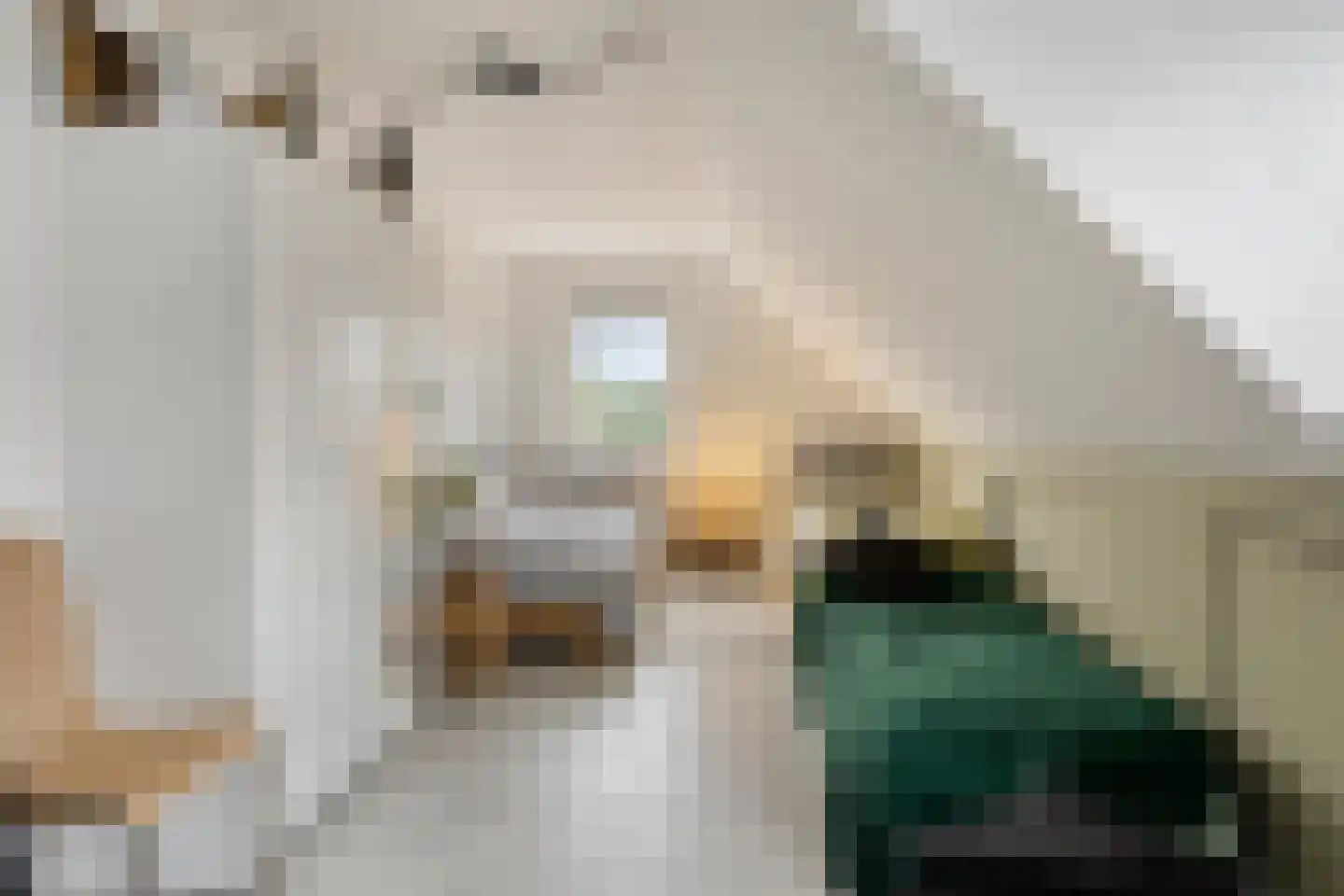 Loopbruglaan 5 A Heiligerlee thumbnail 46