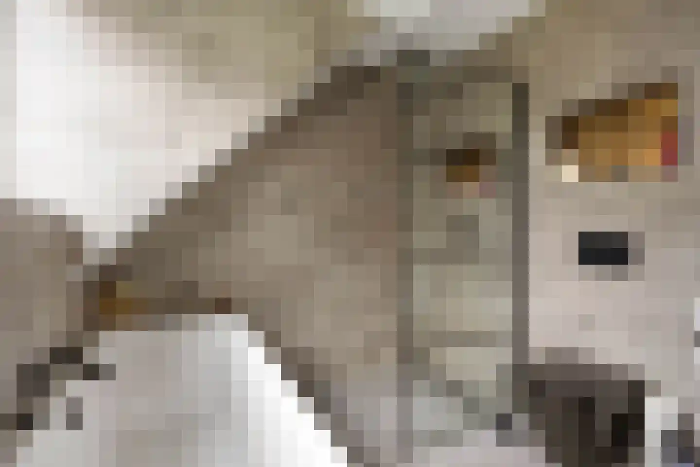 Loopbruglaan 5 A Heiligerlee thumbnail 46