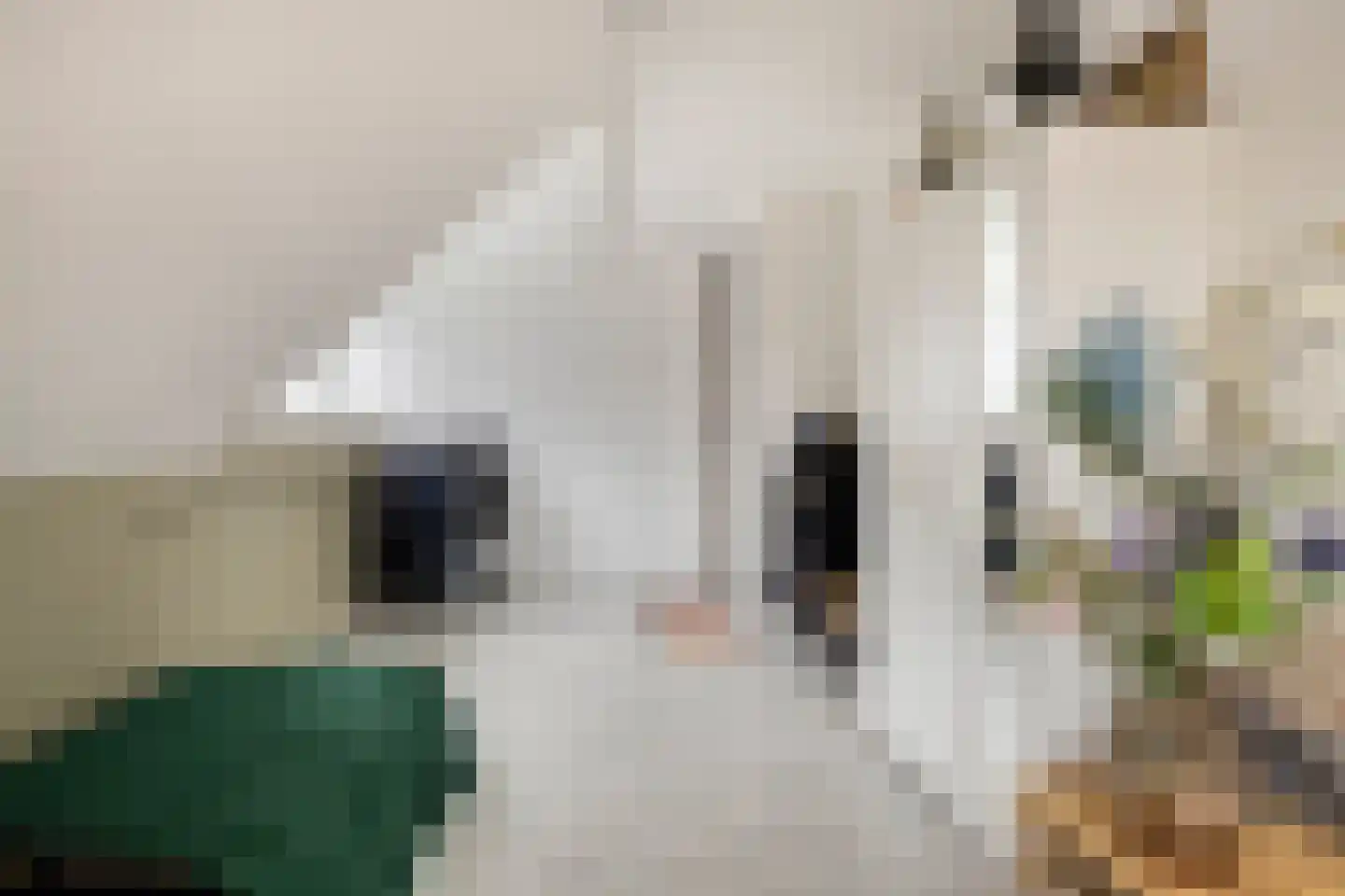 Loopbruglaan 5 A Heiligerlee thumbnail 47