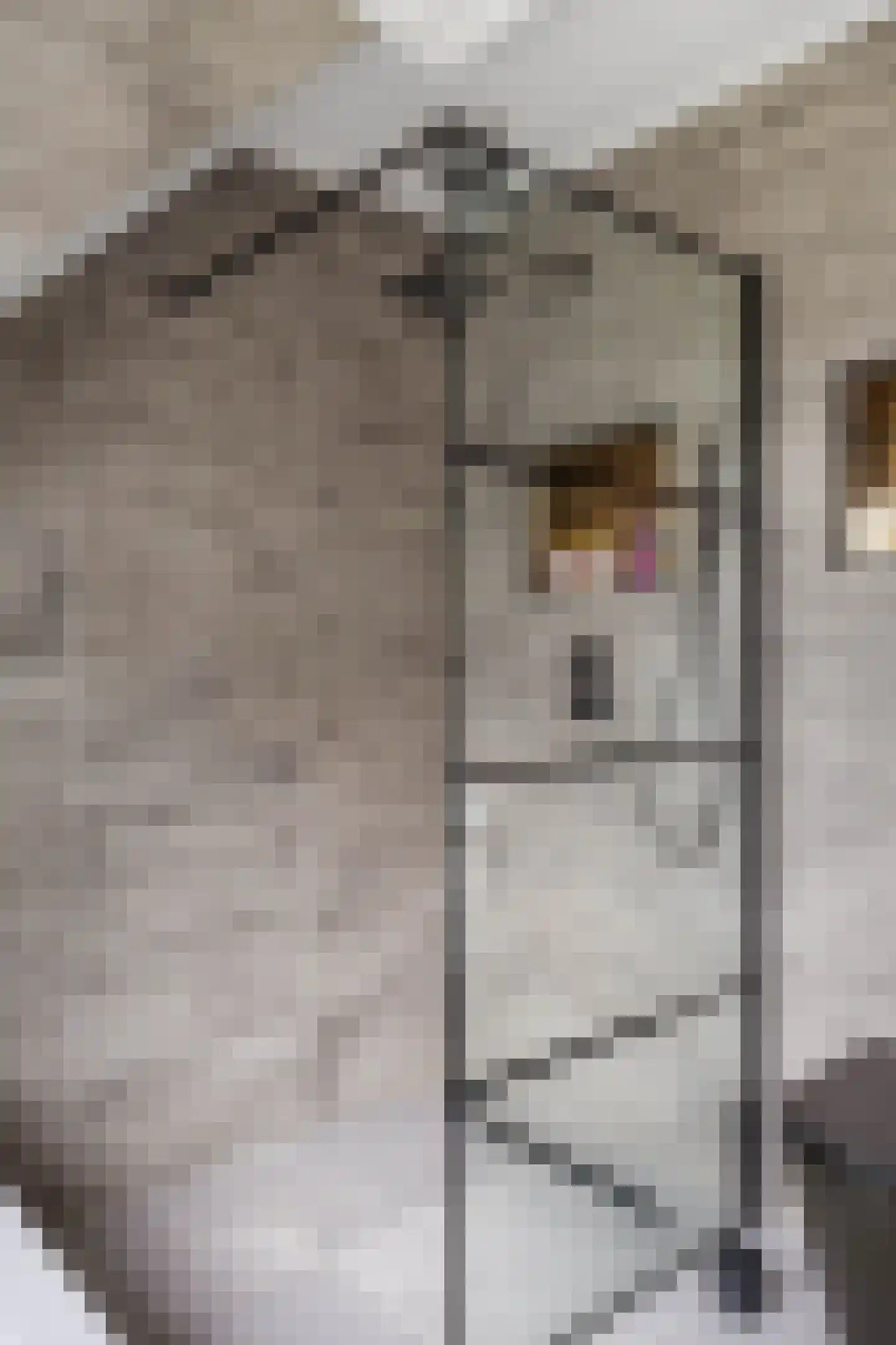 Loopbruglaan 5 A Heiligerlee thumbnail 49
