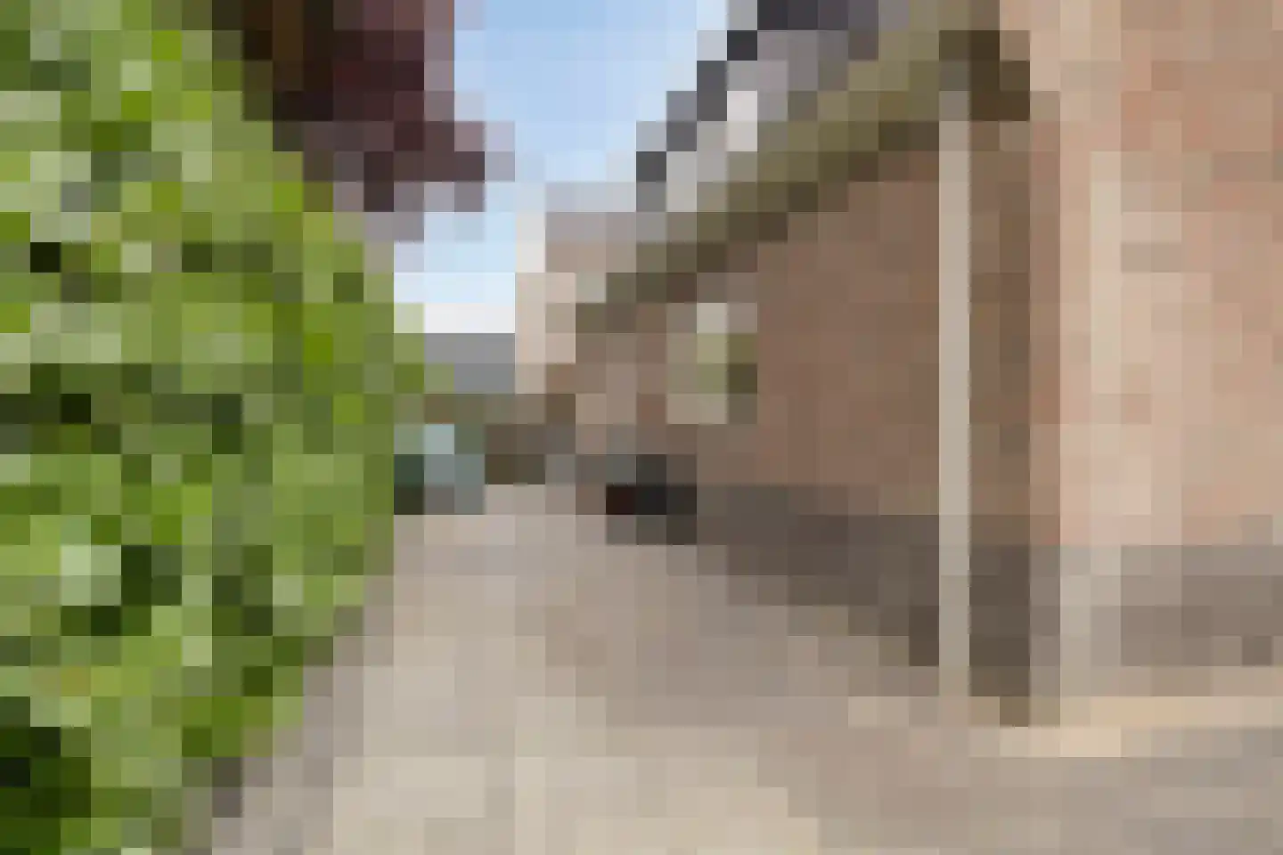 Loopbruglaan 5 A Heiligerlee thumbnail 50