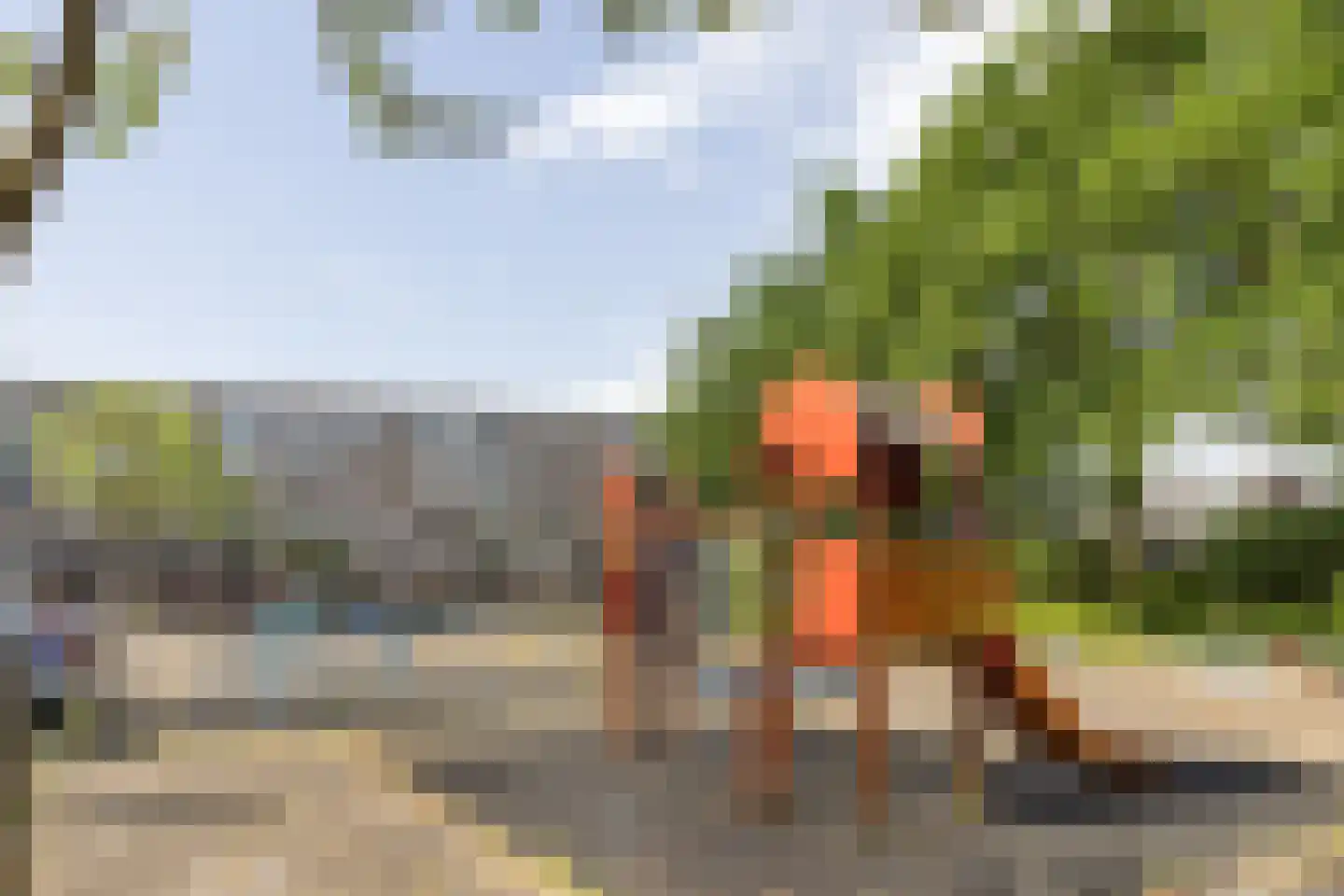 Looplantsoen 156 Utrecht thumbnail 27