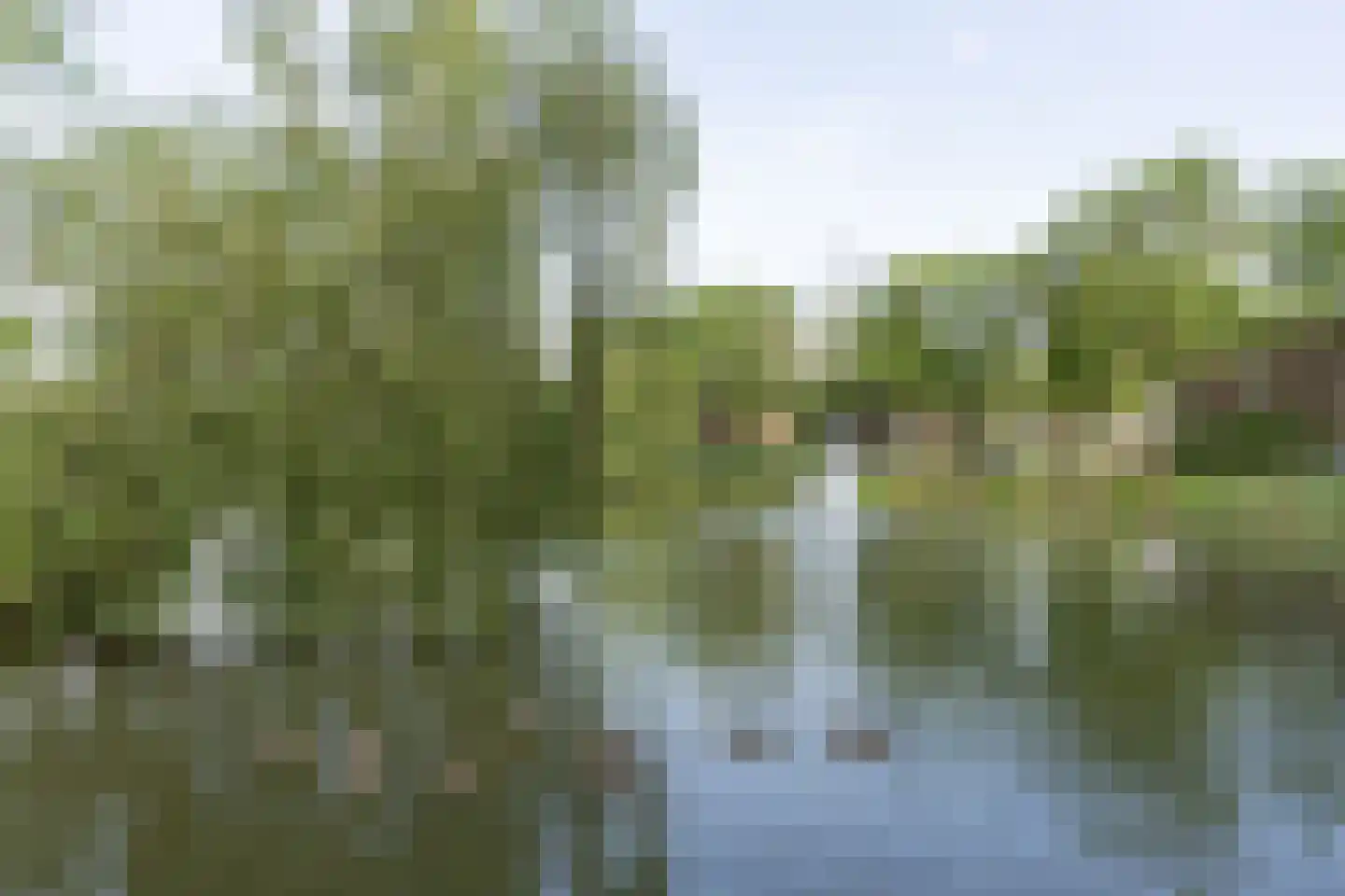 Looplantsoen 156 Utrecht thumbnail 29