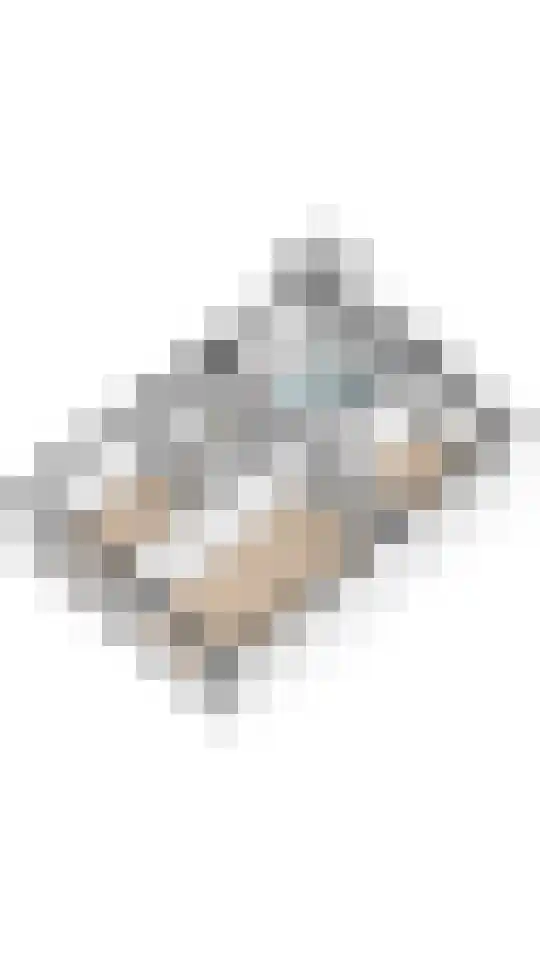Looplantsoen 156 Utrecht thumbnail 31
