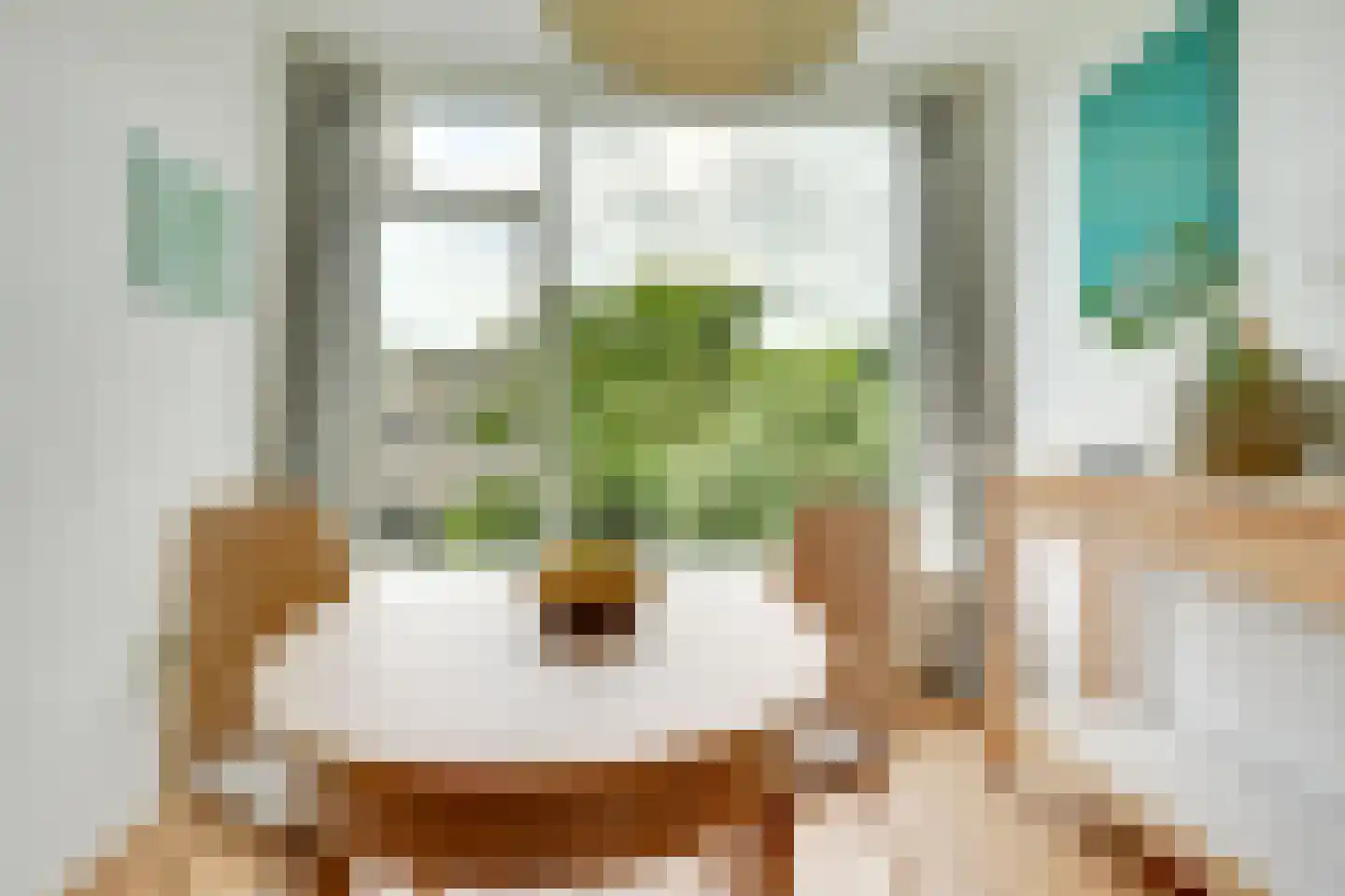 Looplantsoen 160 Utrecht thumbnail 12