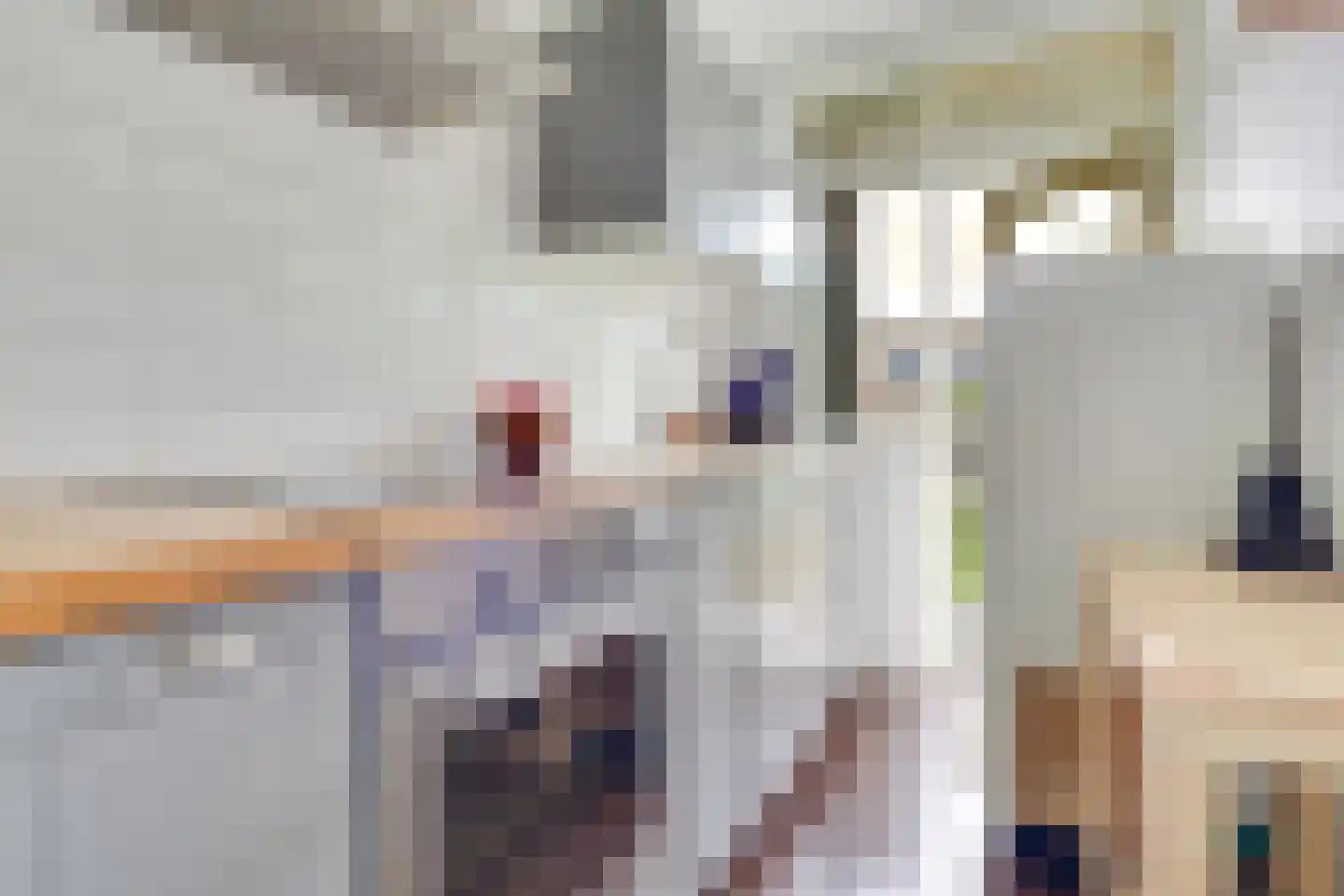 Looplantsoen 160 Utrecht thumbnail 14