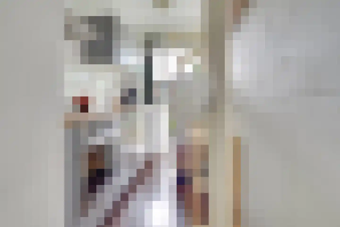 Looplantsoen 160 Utrecht thumbnail 15
