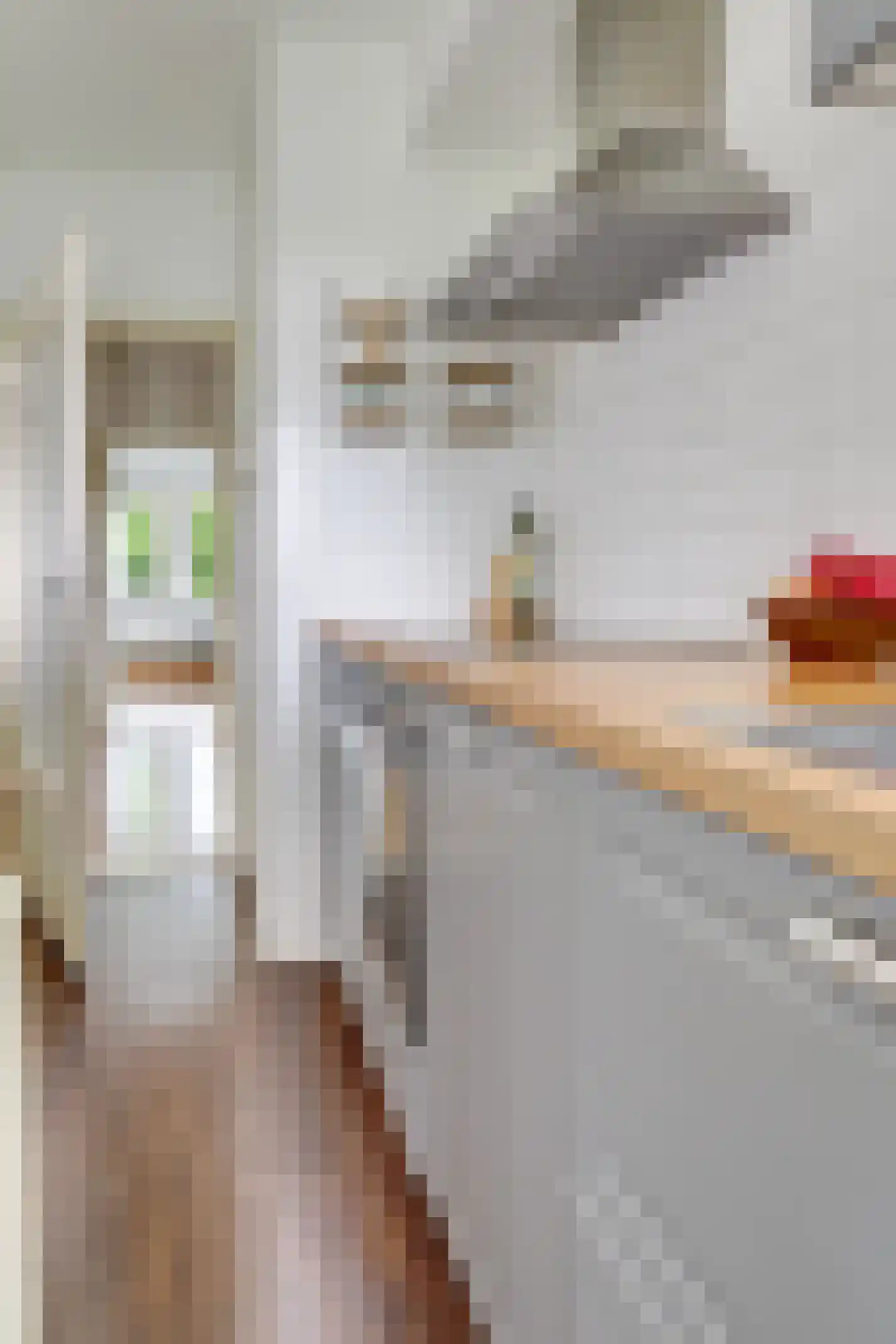 Looplantsoen 160 Utrecht thumbnail 17