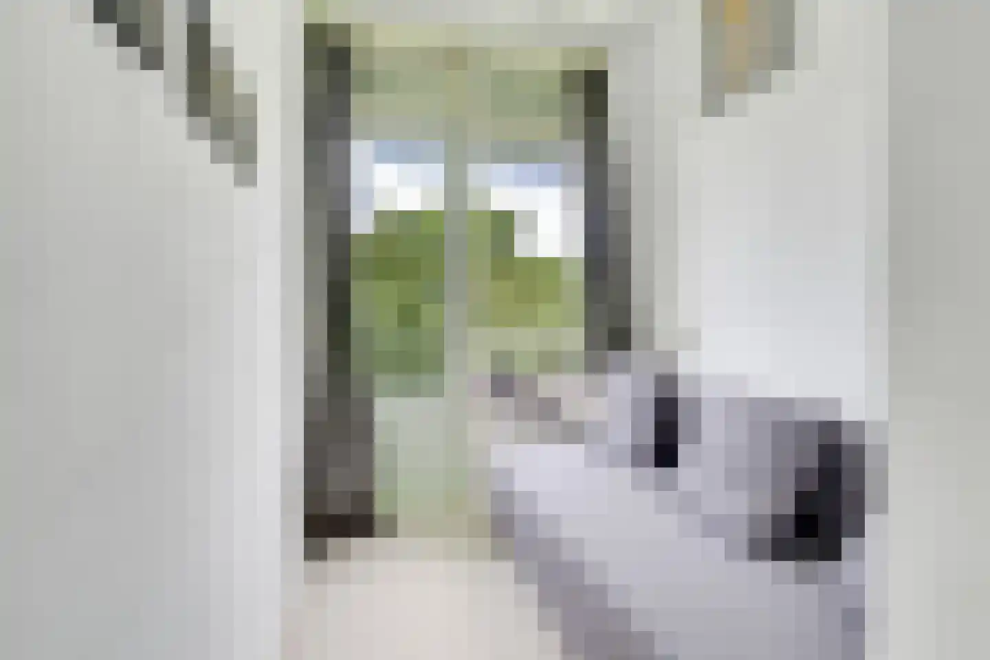 Looplantsoen 160 Utrecht thumbnail 23