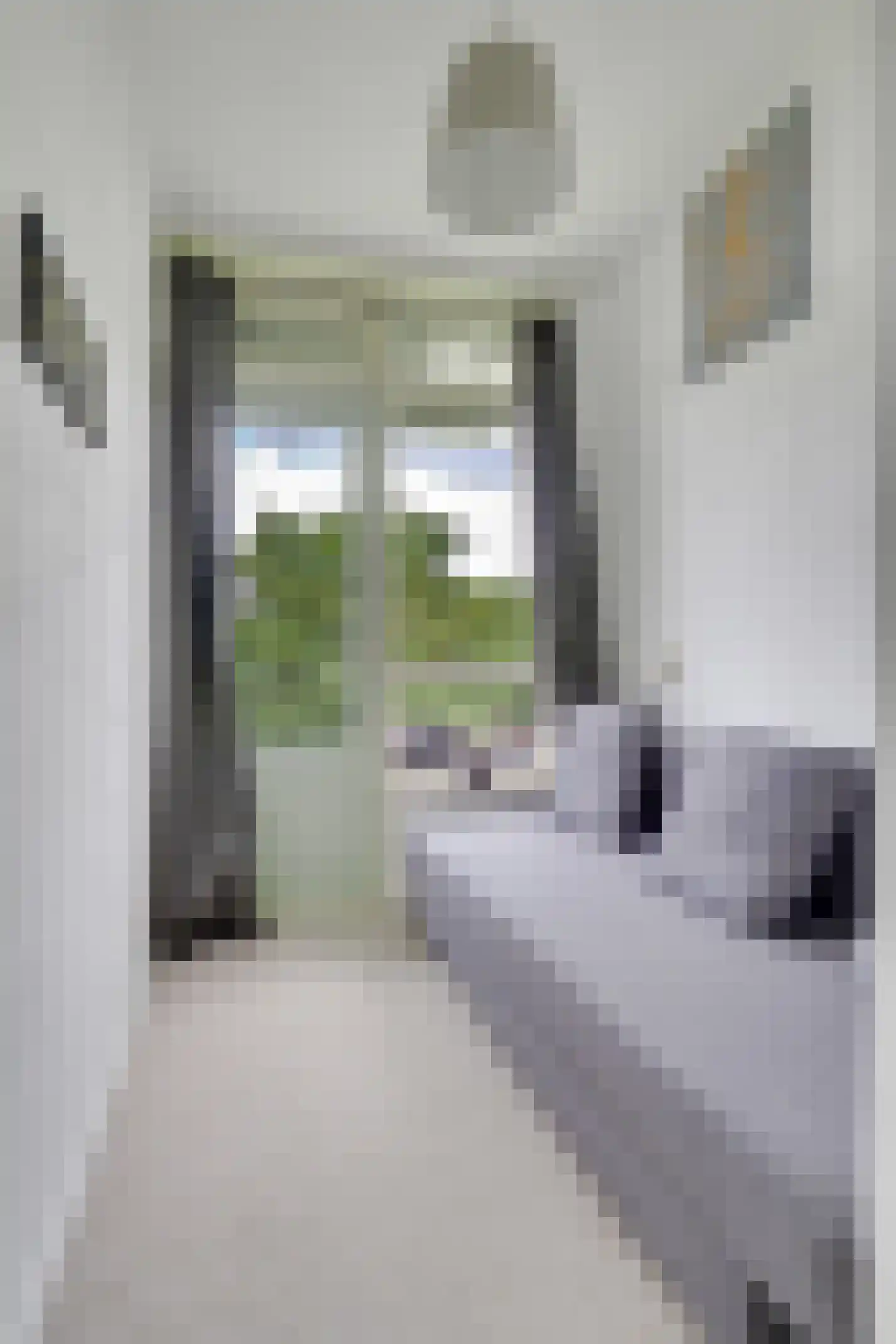 Looplantsoen 160 Utrecht thumbnail 24