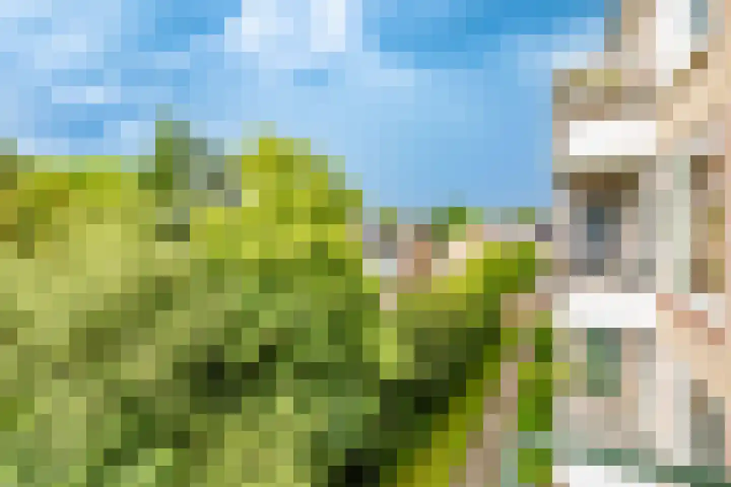 Looplantsoen 160 Utrecht thumbnail 31