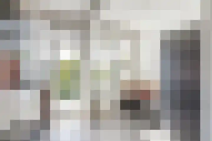 Looplantsoen 164 Utrecht thumbnail 13